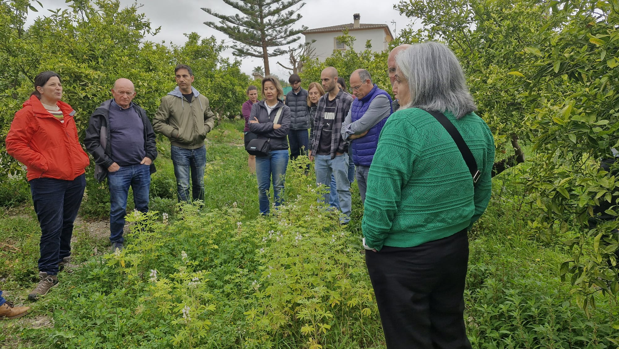 Coopego altramuz|bea calviño|monzo|Reyes|cubierta 1|altramuz